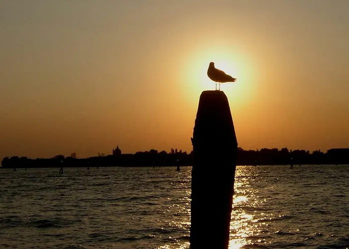 Essence Of Apartment *