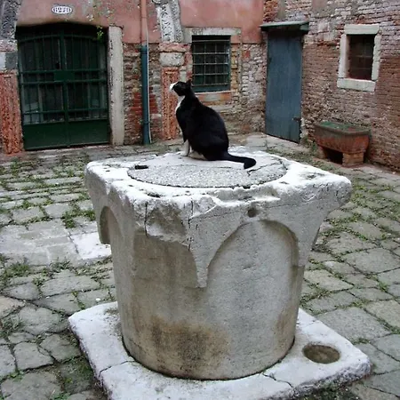 아파트먼트 에센스 오브 *